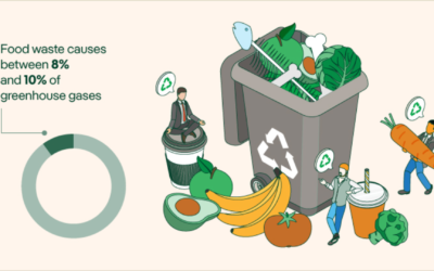 Empower Readers With Simple Ways They Can Reduce Their Own Food Waste at Home.